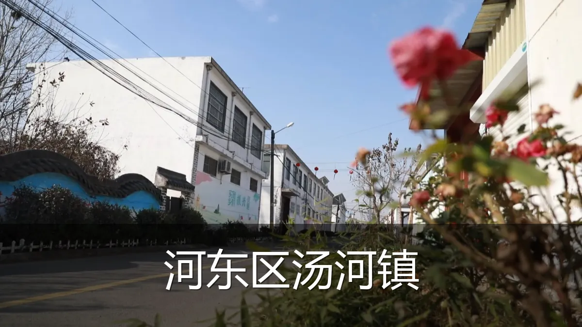 河东区汤河镇