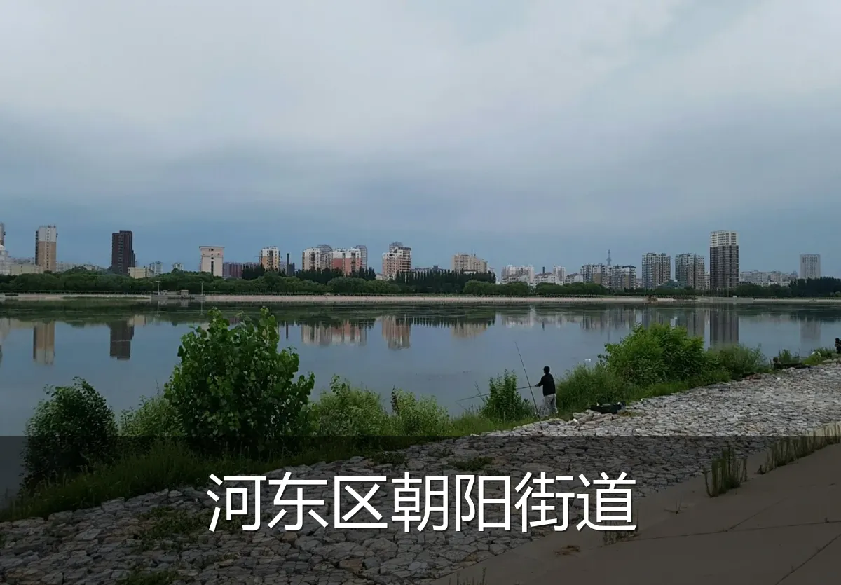 河东区朝阳街道
